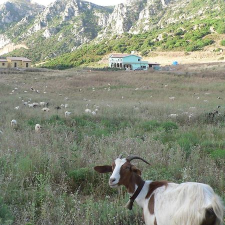 Agriturismo Sa Rocca Иглесиас Екстериор снимка
