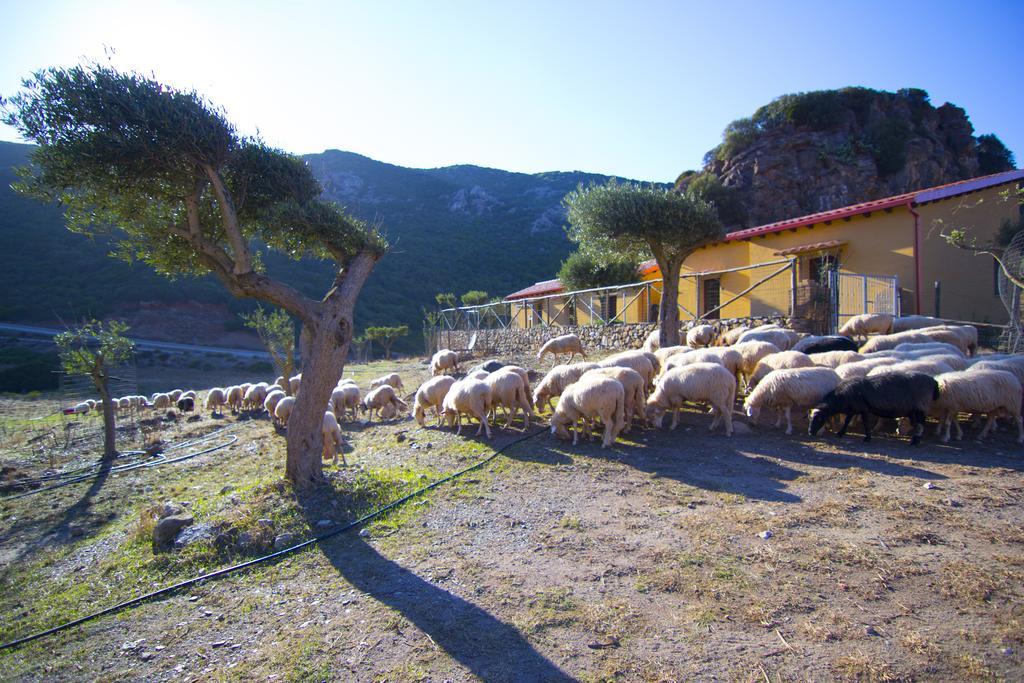 Agriturismo Sa Rocca Иглесиас Екстериор снимка